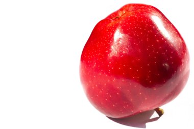 Beyaz arka planda elma. Elma ağacı - gerçek güzelliğin bir örneği