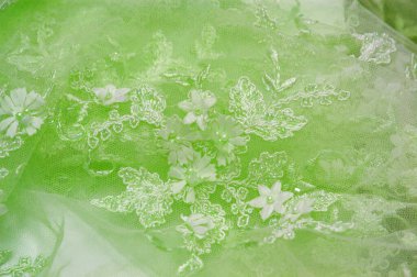 Açık yeşil arkaplan desenli eski dantel ve safir çizgilerin soyut desenli ve kartpostallarda kullanıma uygun desenli dantelli arkaplan.