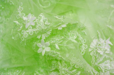 Açık yeşil arkaplan desenli eski dantel ve safir çizgilerin soyut desenli ve kartpostallarda kullanıma uygun desenli dantelli arkaplan.