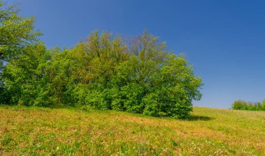 Bahar fotoğrafçılığı, çayır tarlaları, ağaçlar, tepeler ve vadiler, bulutlu bir gökyüzünde parlak güneş.