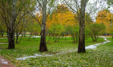 Sonbahar fotoğrafçılığı, sonbaharda yapraklar, yılın bu zamanında ağaçlar turuncu, kırmızı ve bakır çiçeklerden koparak canlanıyor.