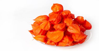 Physalis sidik torbası kirazı, Çin feneri, Japon feneri, Çilek Çileği, Japonya, parlak ve fener benzeri meyve kapları Bon festivalinin geleneksel bir bölümünü oluşturur.