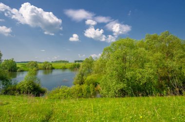 Bahar fotoğrafı, söğüt ağacı, parlak yeşillik, bulutlu mavi gökyüzü, harika bahar havası.