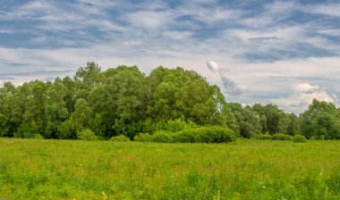 Yaz, gök gürültülü bulutlar, mavi gökyüzü, sel basmış çayır tarlaları, yaz renklerinin kokusu ve çeşitli kır çiçekleri.