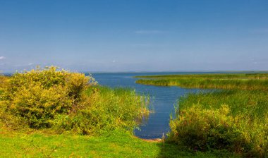 Yaz manzarası. Dünyanın Avrupa bölgesindeki bir nehir. Güneşli sıcak bir gün. Yeşil ağaçlar, çimenler. Mavi gökyüzü küçük bir bulut örtüsüyle.