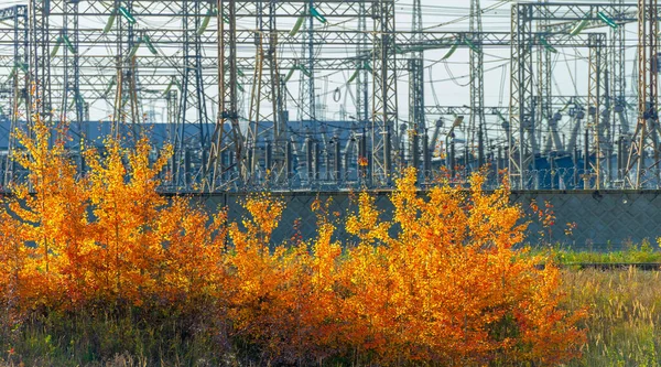 Industrial autumn landscape. it is an interdisciplinary field that includes aspects of urban design, architecture, geography, ecology, civil engineering, construction, environmental psychology,