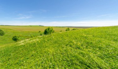 Yaz, çayır tarlaları, vadiler, çam ağaçları fındık ağacı, kır çiçekleri, dünyanın Avrupa bölgesi.