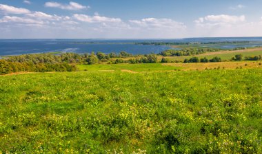 Yaz manzarası. Dünyanın Avrupa bölgesindeki bir nehir. Güneşli sıcak bir gün. Yeşil ağaçlar, çimenler. Mavi gökyüzü küçük bir bulut örtüsüyle.