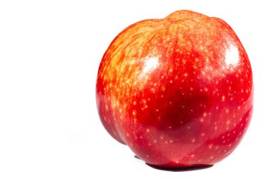 Beyaz arka planda elma. Elmalar bir sürü besin kaynağı olan gevrek meyvelerdir..