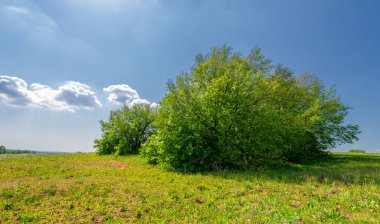 Bahar fotoğrafçılığı, çayır tarlaları, ağaçlar, tepeler ve vadiler, bulutlu bir gökyüzünde parlak güneş.