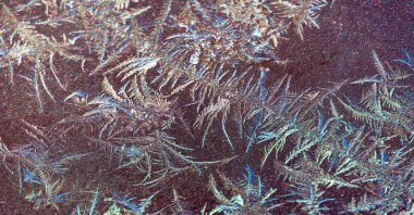 Bulanık. Boya üzerinde soğuk desenler var. Dalgaların geometrisi bir dua gibi, rezene kokulu gökyüzü, buz gibi