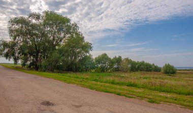 Yaz manzarası, yerel yol, Ağustos sonu. Dünyanın Avrupalı parçası
