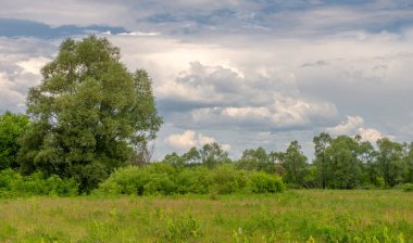 Yaz, gök gürültülü bulutlar, mavi gökyüzü, sel basmış çayır tarlaları, yaz renklerinin kokusu ve çeşitli kır çiçekleri.