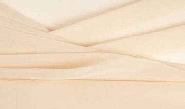 Textra arkaplan desenli bej ipek. Bazen diğerlerinin arasına karışacak bir şeye ihtiyaç duyarsınız, ve bizim özel ipek kumaşlarımız kesinlikle tüm sırayı öne çıkarır! Yeşillik tasarımları oluştur