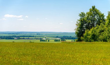 Yaz manzarası, biçilmiş tarlalar biçilmiş tarlalar, biçilmiş yoncalar.