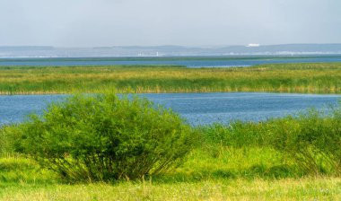 Yaz manzarası. Dünyanın Avrupa bölgesindeki bir nehir. Güneşli sıcak bir gün. Yeşil ağaçlar, çimenler. Mavi gökyüzü küçük bir bulut örtüsüyle.