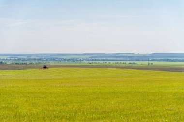 Yaz manzarası, biçilmiş tarlalar biçilmiş tarlalar, biçilmiş yoncalar.