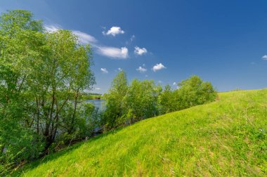 Bahar fotoğrafı, söğüt ağacı, parlak yeşillik, bulutlu mavi gökyüzü, harika bahar havası.