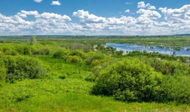 Yaz fotoğrafçılığı, sazlıklarla kaplanmış bir nehir, beyaz bulutlu mavi gökyüzü, ördek otuyla kaplanmış mavi su, nehir taşkını ovası, bunaltıcı yaz günü