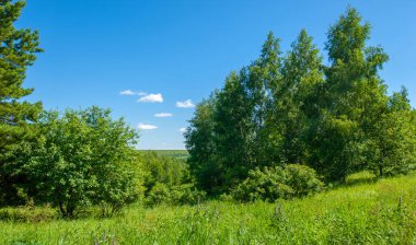 Yaz, tepe, tepeler, huş ağaçları dağların yamaçlarında büyürler. Yamaç boyunca dönen toprak bir yol, sıcak yaz günleri.