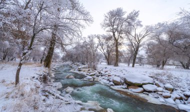 Nehir kışın donar. Bu harika nehir donduğunda gerçek bir kış masalı. Genellikle güzel, doğal bir miras olarak kabul edilir, bir peri masalına dönüşür.