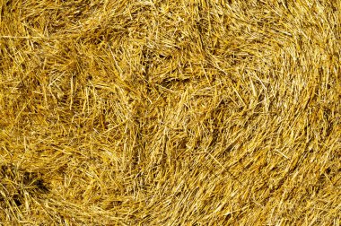 Kış aylarında saman depolamak için etkili bir yöntem, daha soğuk aylarda hayvanların ihtiyaçlarını karşılamak için büyük miktarlarda saman toplamayı sağlar.