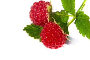 Ahududu. Sevinme zamanı. Sonunda ahududu mevsimi geldi. Bu küçük mücevher hakkında sihirli bir şey var; sadece güzel bir tat sepeti almak için kısa bir pencere var.