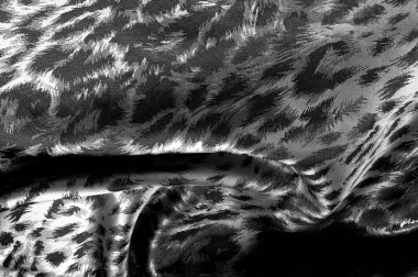 Kusursuz bir doku. Siyah renk. Yüksek kaliteli polyester ve ipek satenden yapılmış bu saten içindeki kraliyet ruhunu somutlaştıracak. Daha çekici görünümlü zarif bir kumaş..