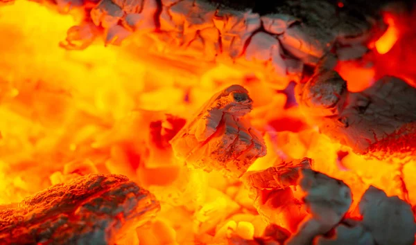 Fire in the fireplace. Our ancestors discovered that fire repelled saber-toothed tigers, and the area around them became a safe place. It has become a social space
