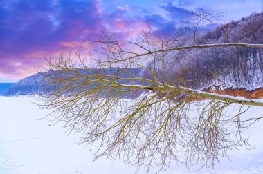 Nehir kışın donar. Ormandaki en sevdiğim kış nehri sessizliği büyüleyiciydi. Sadece rüzgarın sesi ve akan akarsu yüzünden kırılmıştı. Hala hayatta, suyun altında. kar ve buz