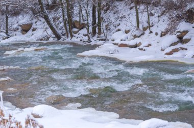 Nehir kışın donar. Yerel nehrimizle geçen kışın en sevdiğim kısmı sislerin süzülüp etraftaki ormanı kaplaması. Yumuşak, gizemli ama huzur verici bir yer yaratıyor..