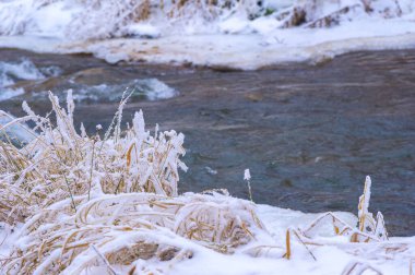 Nehir kışın donar. Kış beni düşündürüyor. Güneş daha sonra doğup daha erken batarken nehirde geçirebileceğiniz saatler kısalıyor..
