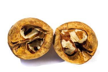 Ceviz. Cevizlerin en iyi yanı kokusu..