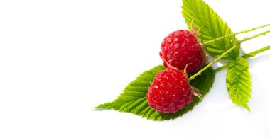 Ahududu. Tüketicilerin yaz aylarında yemesi gereken sağlıklı ve lezzetli bir meyvedir. Ahududu güçlü bir besin kaynağıdır. C vitamini, manganez...,