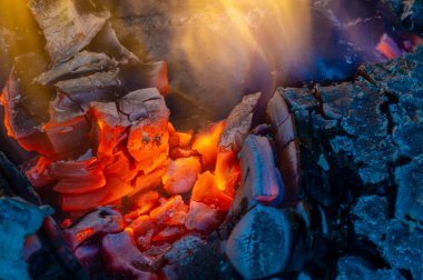 Ateşle. Yangın dünyadaki ekolojik sistemleri etkileyen önemli bir süreçtir. Olumlu etkiler arasında büyümenin teşvik edilmesi ve çeşitli ekolojik sistemlerin korunması yer alıyor