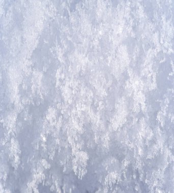 Yeri kaplayan kar, ağaçlar, çimenler. Eğer kar ağaçları ve tarlaları seviyorsa, onları bu kadar şefkatle öpen nedir? Sonra onları sıkıca örtüyor, beyaz bir yorganla.