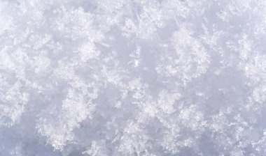 Yeri kaplayan kar, ağaçlar, çimenler. Eğer kar ağaçları ve tarlaları seviyorsa, onları bu kadar şefkatle öpen nedir? Sonra onları sıkıca örtüyor, beyaz bir yorganla.