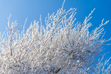 Dağlar. Kış. Kış yürüyüşlerindeki güzel manzarayı tanı. Işıl ışıl buzla kaplı nehirlerden karlı dağlara ve uygun yollara.