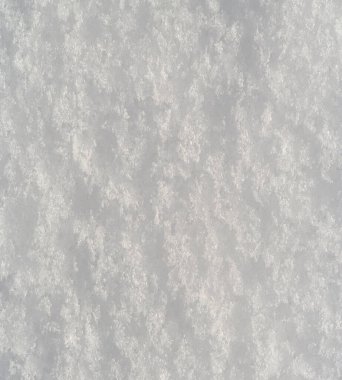 Yeri kaplayan kar, ağaçlar, çimenler. Eğer kar ağaçları ve tarlaları seviyorsa, onları bu kadar şefkatle öpen nedir? Sonra onları sıkıca örtüyor, beyaz bir yorganla.