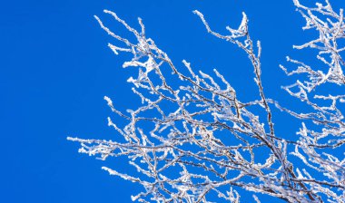 Dağlar. Kış. Biraz önyargılı olabilirim ama kışın dağlardan daha romantik yerler olduğunu sanmıyorum. Karla kaplanmış, bunlar görkemli zirveler, tadını çıkarmanız için..