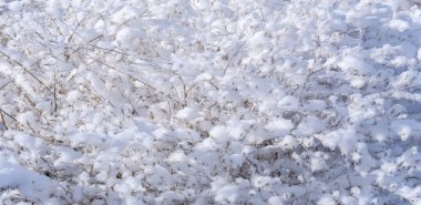 Dağlar. Kış geliyor ve yağan karla birlikte, bir birliktelik hissi çöküyor, bu kış harikalar diyarı romantik bir kaçış için mükemmel bir yer ve zaman..