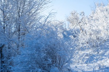 Dağlar. Kış. Kış yürüyüşlerindeki güzel manzarayı tanı. Işıl ışıl buzla kaplı nehirlerden karlı dağlara ve uygun yollara.