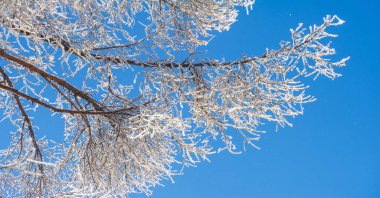Dağlar. Kış. Güzel dağlara ve güzel kış manzaralarına bakmaktan daha romantik bir şey yoktur! Bu muhteşem manzaralar nefes kesici bir kar tabakasıyla kaplıdır..