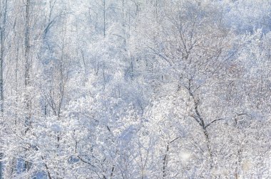 Dağlar. Kış. Huzur ve sessizlik içinde kışın tadını çıkarabileceğiniz bir yer. Sadece fotoğraflarımda. Manzaralara bakan tenha bir yer. Tasasız bir tatil için ideal koşullar..