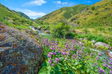 Güzel leylak çiçekleri dingin bir dağ nehrine karşı Doğanın güzelliği büyüleyici bir görüntüye büründü Huzur ve sükunet getiren büyüleyici bir sahne