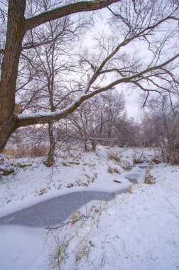 Nehir kışın donar. Kışın nehir gerçek bir harikalar diyarına dönüşür. Büyüsünü hiç yaşamadıysanız, şimdi tam zamanı..