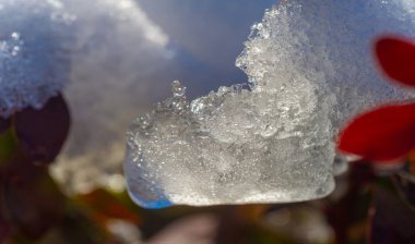 İlk kar sonbahar yapraklarının üzerine düştü. Yılın en gizemli zamanıydı. Sonbahar rüzgarı ve soğuk ışık Ağustos ayından itibaren dünyanın bazı kısımlarını kaplıyor..