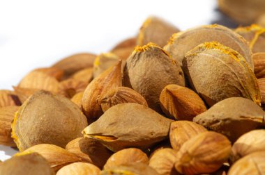 Kayısı çekirdeği, kayısı meyvesinin yan ürünüdür ve zengin bir protein, vitamin ve karbonhidrat kaynağıdır. Ayrıca, tıbbi amaçlar ve besin maddelerinin oluşumu için de kullanılabilir..