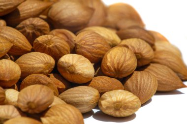 Kayısı çekirdeği. Rafine kayısı çekirdeği yağı yiyeceklerde bir lezzet olarak kullanılır. Kanserle savaşmak için amigdalin ve yarı sentetik bir amigdalin türü kullanıldı..