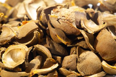 Kayısı çekirdeği. Üretim için ham maddeler. Doğal, sebze, fırça. Fırçanın bir parçası olan kayısı yağı doymamış asitler ve A, C, B ve F vitaminleri içerir. Bu da her tür cilt için çok yararlıdır..